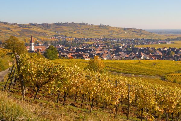 Ein Wochenende in den Nutchel Cabins – Naturidylle im Elsass