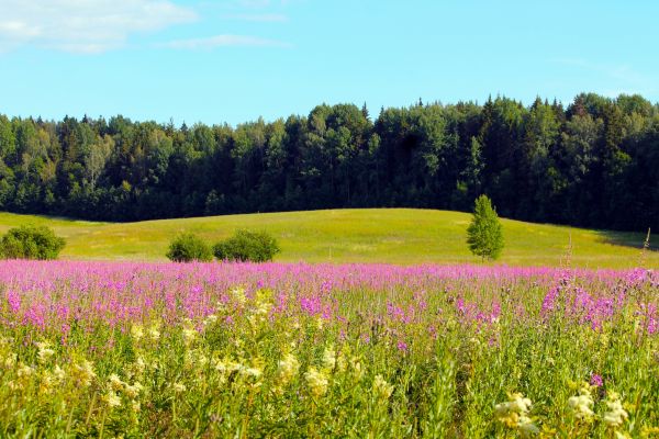 Barrierefreies Glamping: 5 Unterk&uuml;nfte, bei denen jemand mitgedacht hat