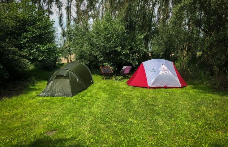 Campingplatz unter Tieren in Küstennähe - Stellplätze, Nordholland