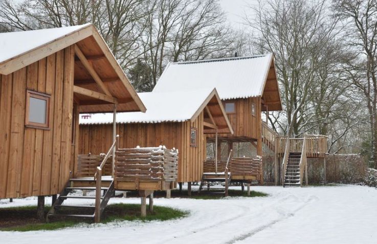 Camping de Koeksebelt - Storchennest Overijssel