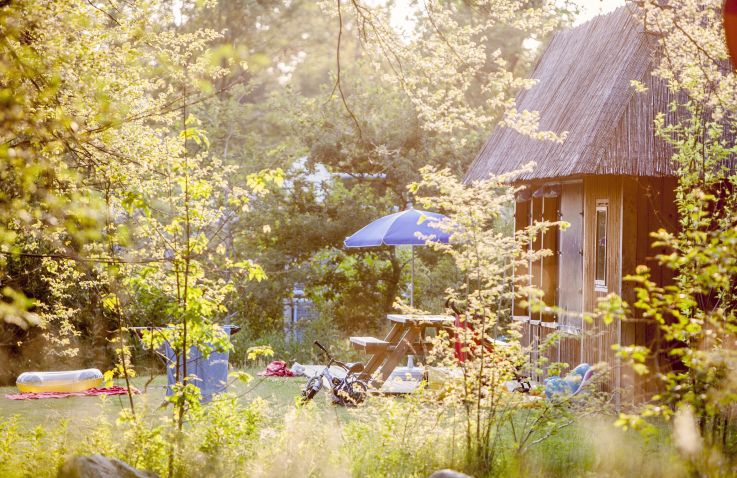 Ferienpark Witterzomer - Chalet mit Dachterrasse in Drenthe