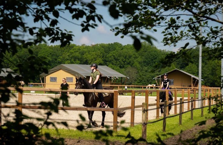 FarmCamps Holzik Stables - Safari Zelte Overijssel