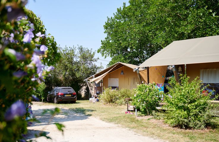 Camping Les Bois du Bardelet - Safarizelte Loire