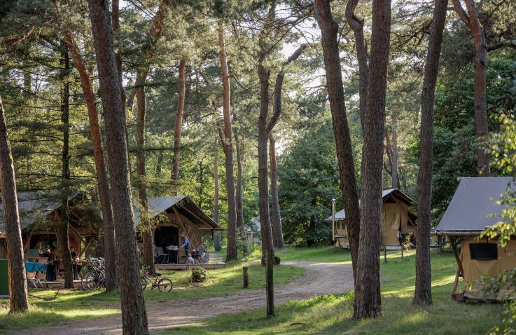 Huttopia De Veluwe – Glamping-Zelte in Gelderland