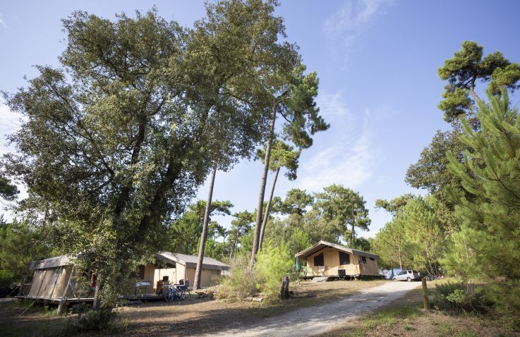 Huttopia Oleron les Chenes Verts - Glamping Nouvelle-Aquitaine