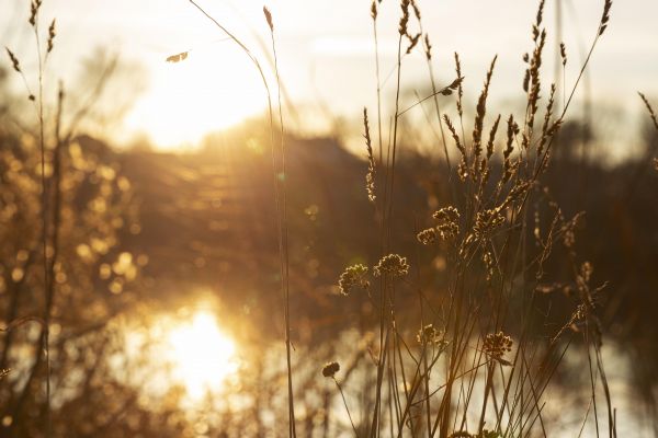 Urlaub im Spätsommer mit Landal 