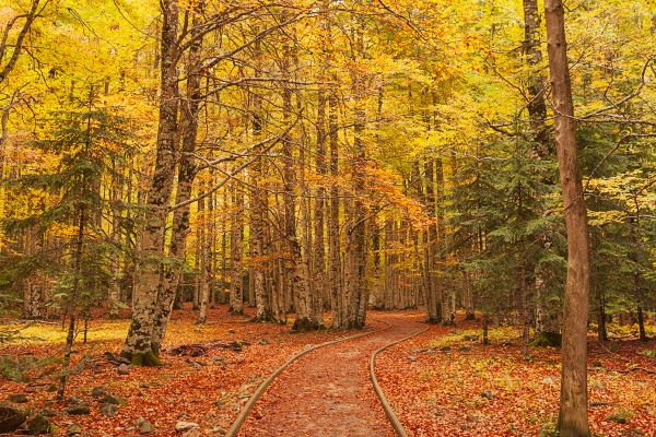 Urlaub in den Herbstferien mit Landal 