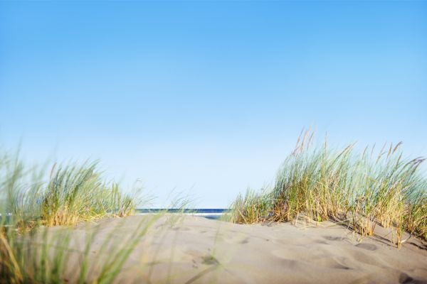 Last Minute Summer Deals bei EuroParcs