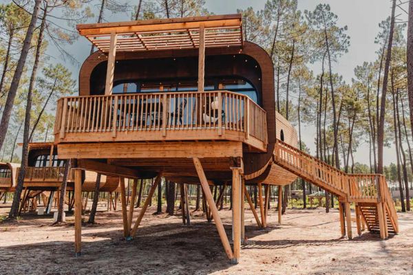 20% Rabatt Fr&uuml;hbucher-Kampagne 